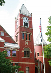 Forest Path Crossing the stream