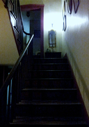 The Shepard Light The Shepard's Light