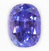 Primeval Forests Primeval Forests