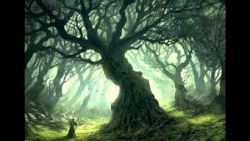 Explorers Seeking the Mystical Land of Arina Explorers Seeking the Mystical Land of Arina