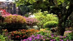 Gardens of Anawalkia Gardens of Anawalkia