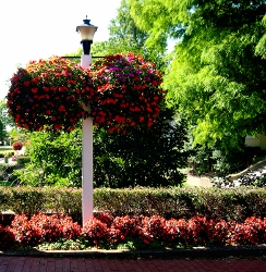 Gardens of Anawalkia Gardens of Anawalkia