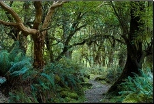 The Other Side of the Wall The Other Side of the Wall