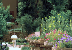 Dwellings of Sharalee Dwellings of Sharalee