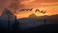 After Being Renewed After Being Renewed