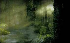 The Yough River Yough River