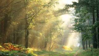 flower-picture fall picture