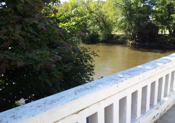 The Yough River Yough River