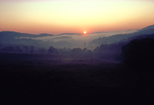Forest Path Crossing the stream
